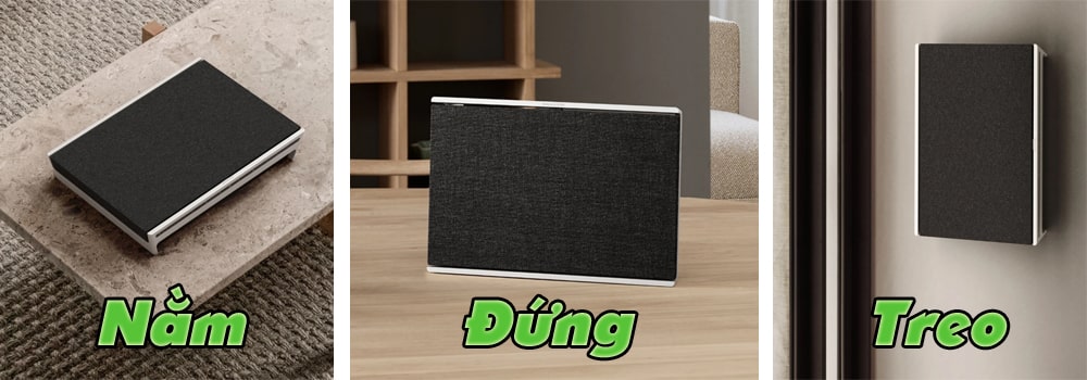Loa B&O Beosound Level