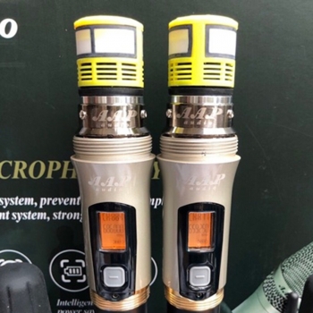 Micro AAP S 700
