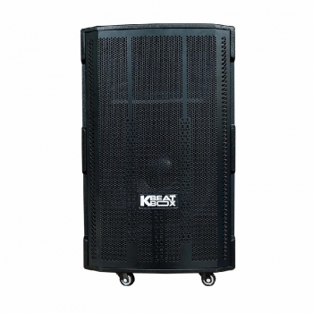 Loa Acnos CB4050G