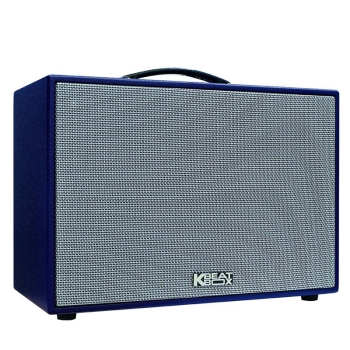 Loa Acnos CS250SON