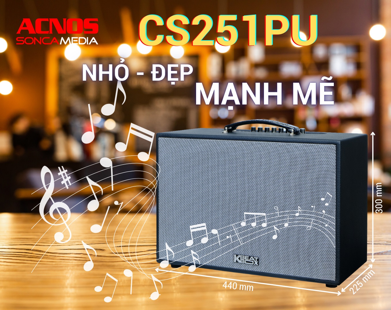 Loa Acnos CS251PU thiết kế