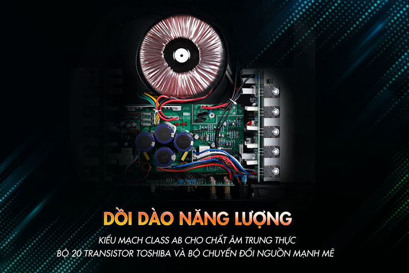 hệ mạch của Amply Paramax DA2500