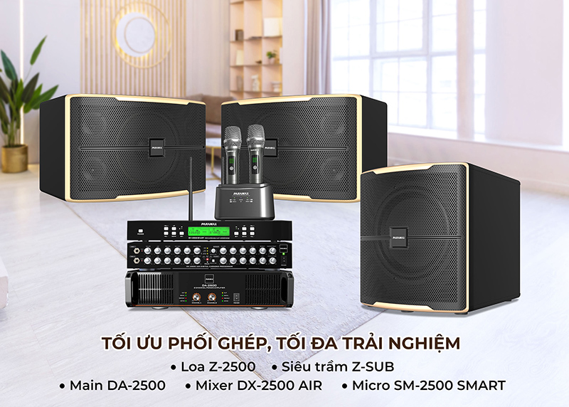 giá của karaoke Paramax Z-2500