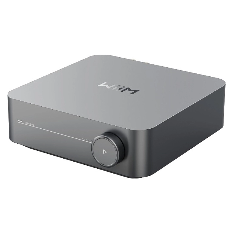 Music Server Amplifier WiiM Amp