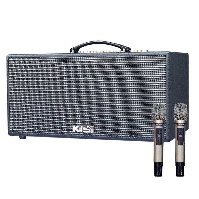 Loa Acnos CS447R Plus