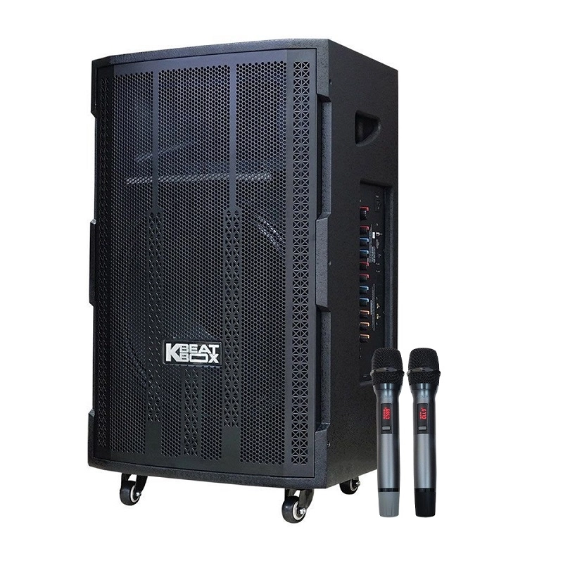 Loa Acnos CB393G